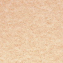 Carta Parchment - Pergamena Corallo