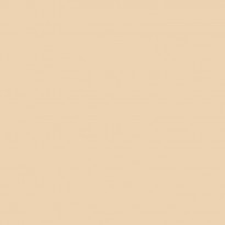 Siser PS Film Perla A0038