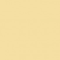 Siser PS Film Crema A0002