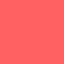 Siser PS Film Hibiscus A0060