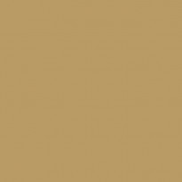 Siser PS Film Ocra A0073