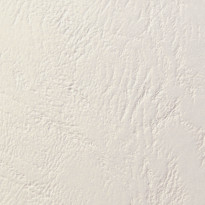 Copertine per rilegature - Clairefontaine Grain Cuir Avorio