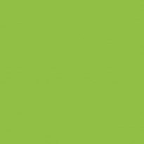 Siser PS Film Verde Mela N0058