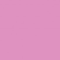 Siser PS Film Rosa Fluo N0024