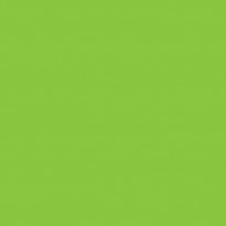 Siser PS Film Verde Fluo N0026