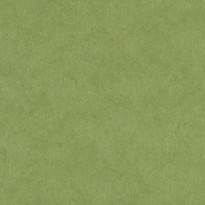 Cordenons Wild Green