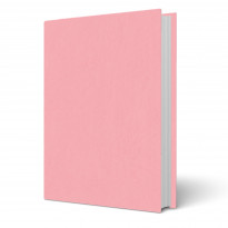 Copertina tesi Panama Rosa