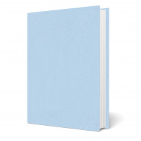 Copertina tesi Panama Celeste