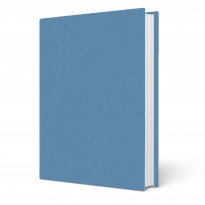 Copertina tesi Venus Avio