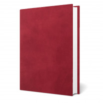 Copertine tesi Perla Rosso