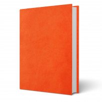 Copertine tesi  Perla Arancio