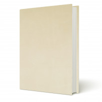 Copertine tesi Perla Avorio