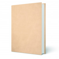 Copertine tesi Perla Nocciola