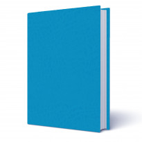 Copertina tesi Panama Azzurro