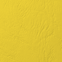 Clairefontaine Grain Cuir Giallo