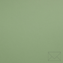 Fedrigoni materica verdigris