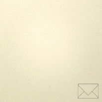 Shiro Alga Carta Avorio