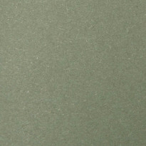 Favini Shiro Echo Raw Green