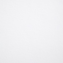 Fedrigoni Stucco Tintoretto