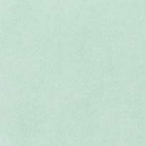 Fedrigoni Sirio Allpack - Duck Egg