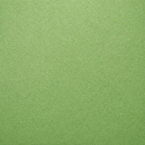 Carta Stardream Fairway Cordenons – carta perlata verde naturale con luminosità raffinata