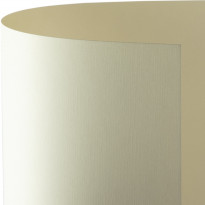 Carta Favini Canvas Telato Avorio – carta avorio caldo con texture telata effetto linen