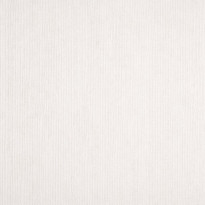 Carta Fedrigoni Nettuno Perla – carta naturale grigio chiaro caldo marcata a feltro per inviti e progetti eleganti