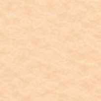 Carta Favini Parchment Corallo nocciola cipriato chiaro effetto pergamenato nuvolato