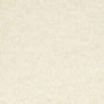 Carta Fedrigoni Marina Conchiglia