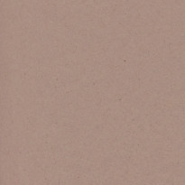 Carta Favini Crush Mandorla