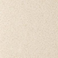 Carta Erba Naturale con fibre di erba visibili e superficie materica