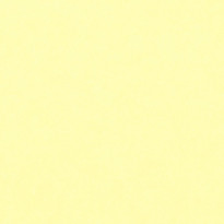 Carta Favini Burano Giallo (07)