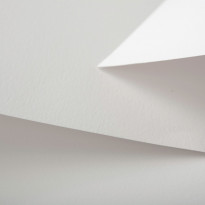 Natural Evolution White