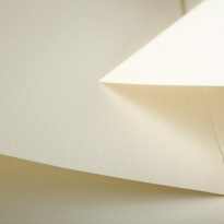 Natural Evolution Ivory