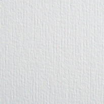 Nettuno Bianco Artico